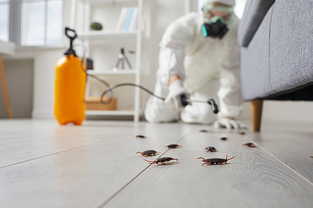 Trusted Fumigation Services service in Wheatley Heights, NY - Nex Pest Control