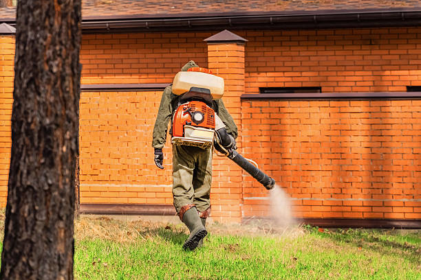 Trusted Termite Control service in Wheatley Heights, NY - Nex Pest Control